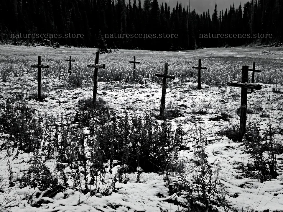Multiple Christian crosses in snowy meadow – nature scenes 9174x6866