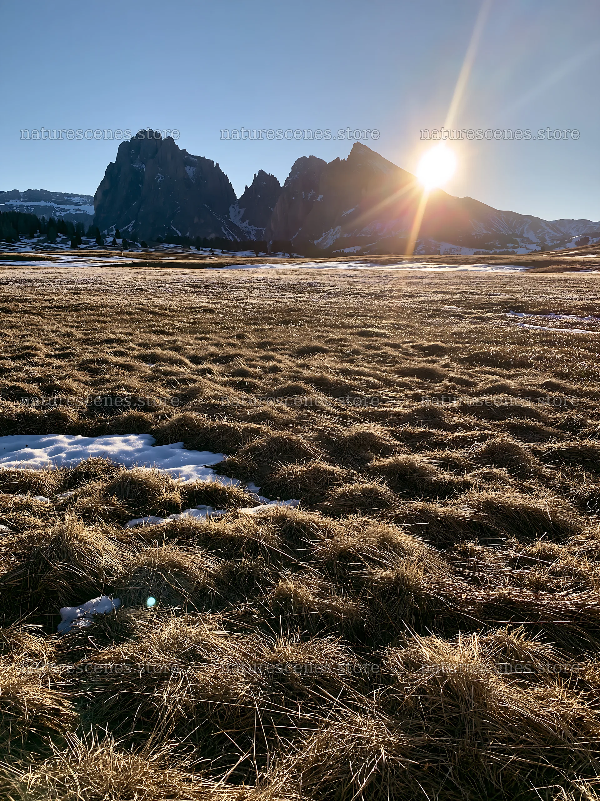 Sunbeams over Alpe di Siusi meadow at sunset – nature scenes 6866x9174