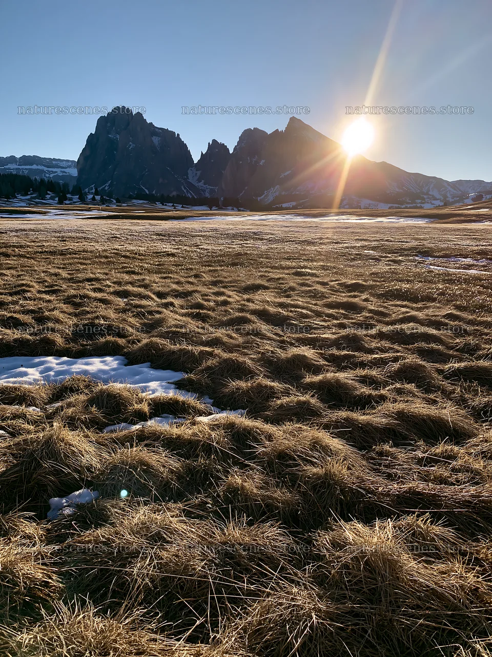 Sunbeams over Alpe di Siusi meadow at sunset – nature scenes 6866x9174
