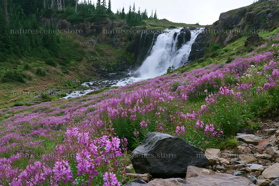 Cascade valley flower meadow near waterfall – nature scenes 9722x6480