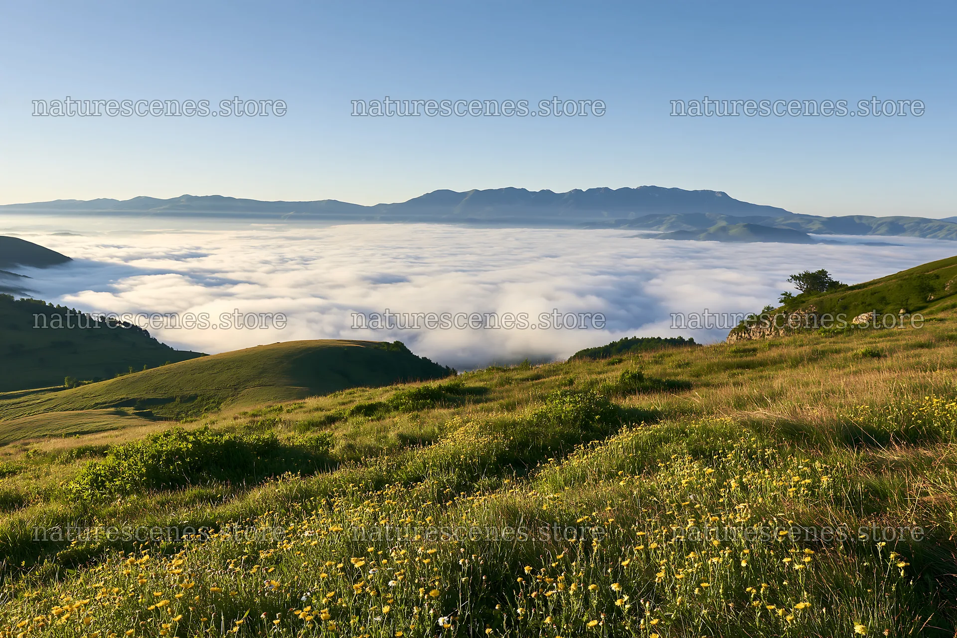 Transylvania summer hay meadows with clouds below mountains – nature scenes 9722x6480