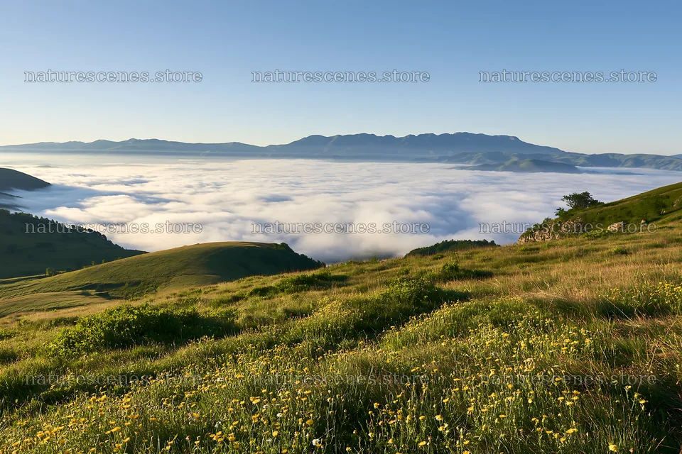 Transylvania summer hay meadows with clouds below mountains – nature scenes 9722x6480