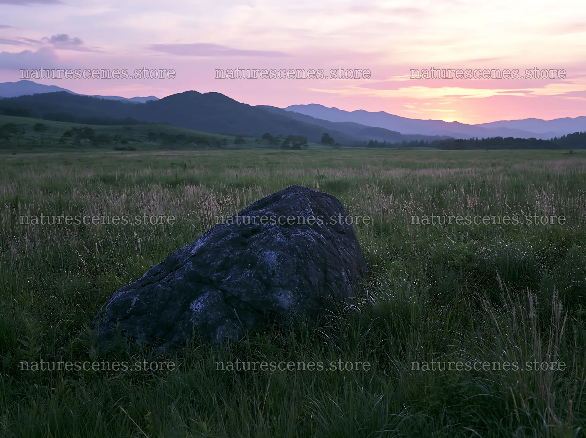 Aomori climate resilient meadow with boulder at sunset – nature scenes 9174x6866