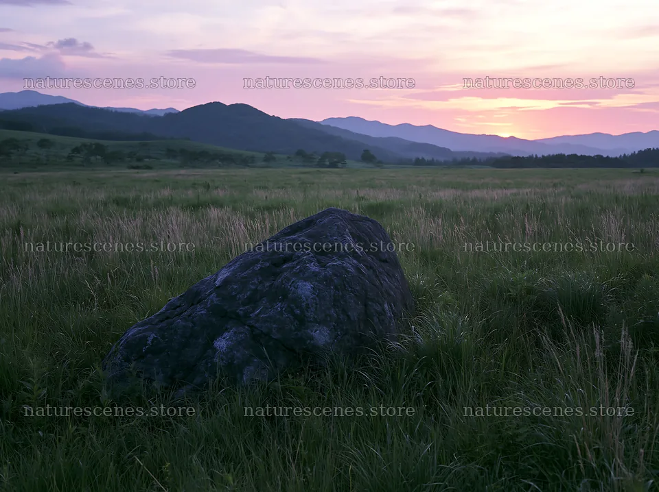 Aomori climate resilient meadow with boulder at sunset – nature scenes 9174x6866
