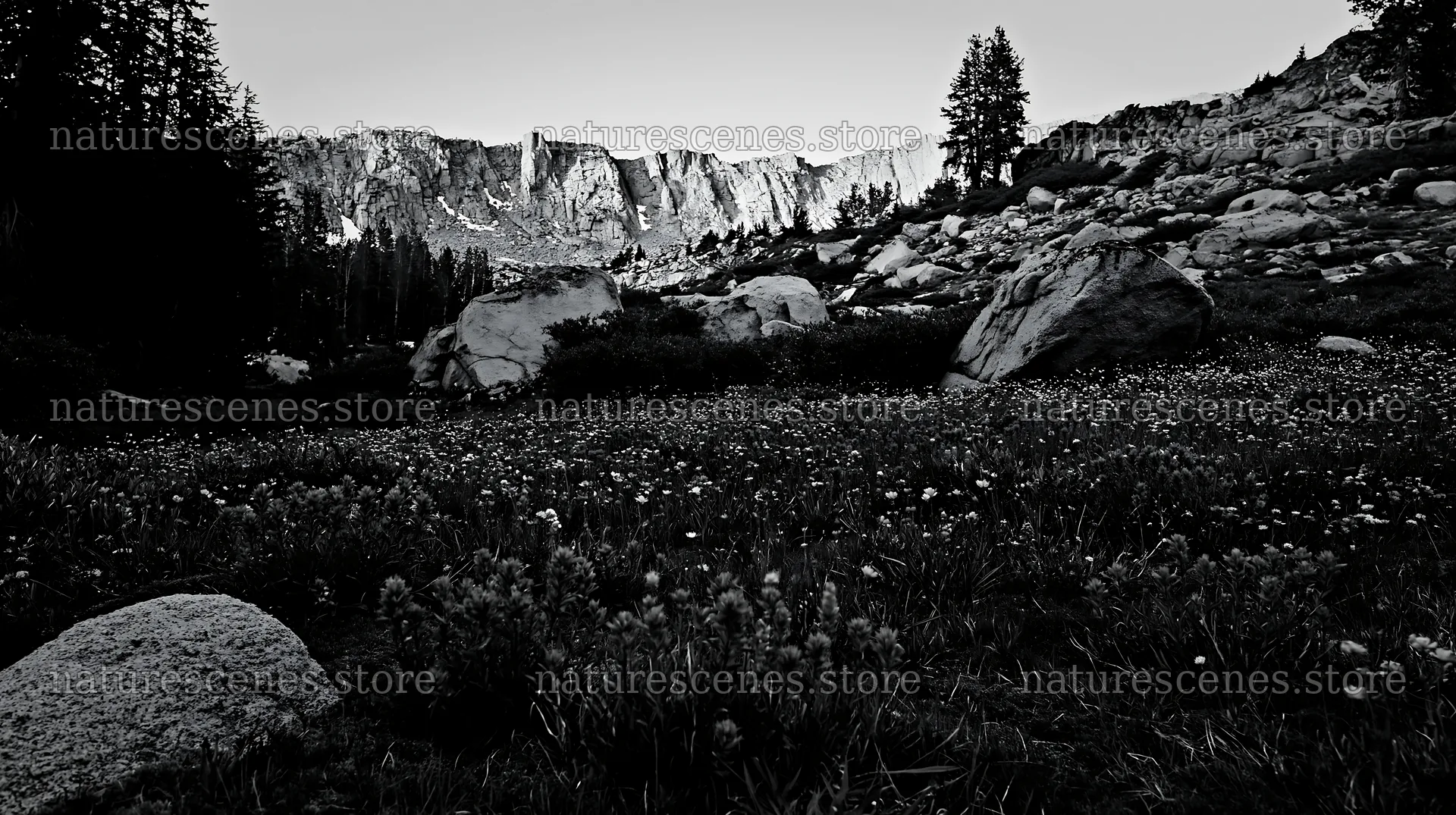 Mossy boulder meadow with flowers and mountain backdrop – nature scenes 10608x5938