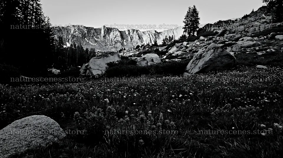 Mossy boulder meadow with flowers and mountain backdrop – nature scenes 10608x5938