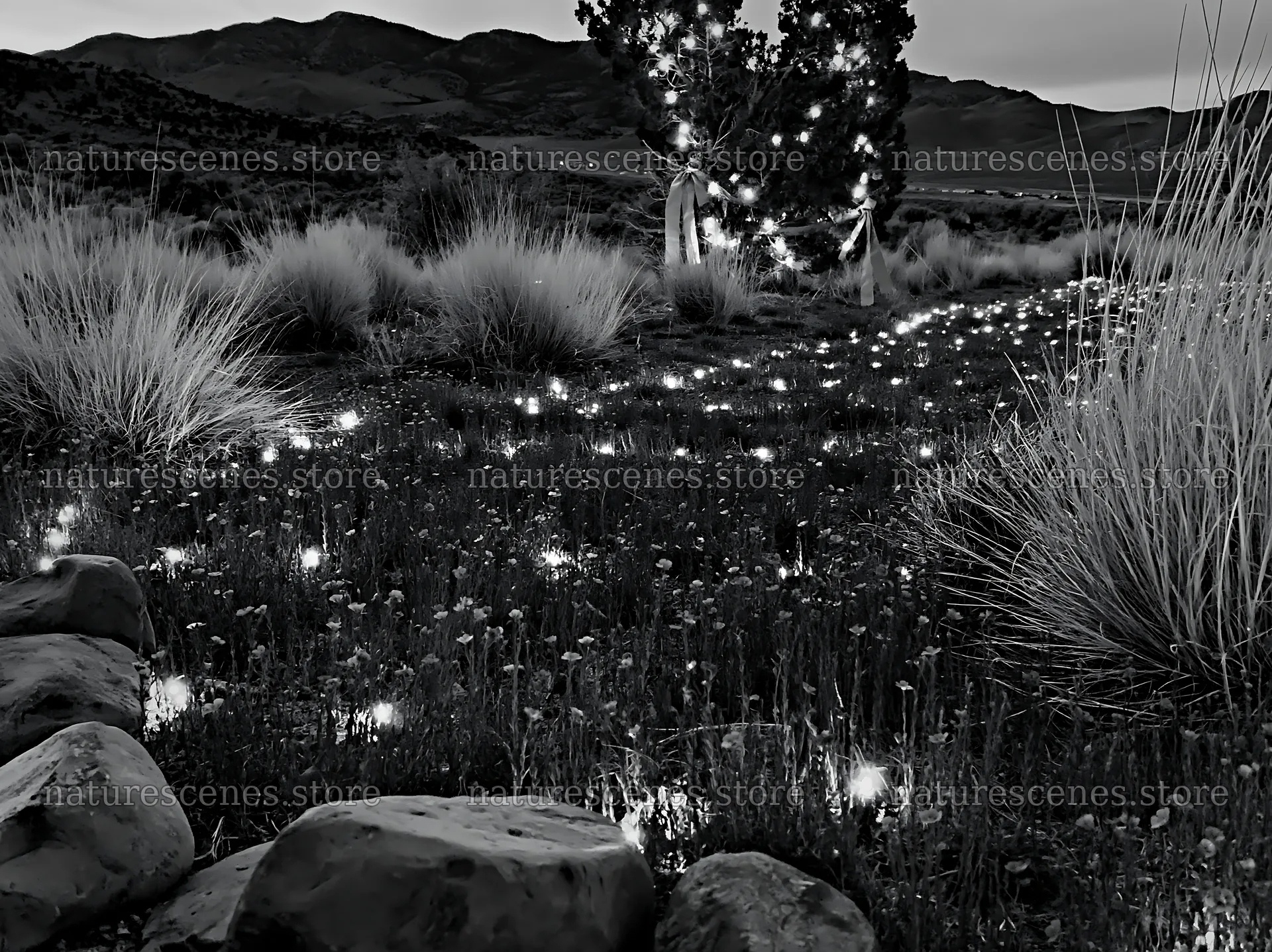 Christmas meadow with drought tolerant stems and garland – nature scenes 9174x6866