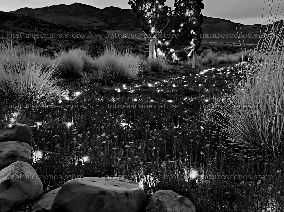 Christmas meadow with drought tolerant stems and garland – nature scenes 9174x6866