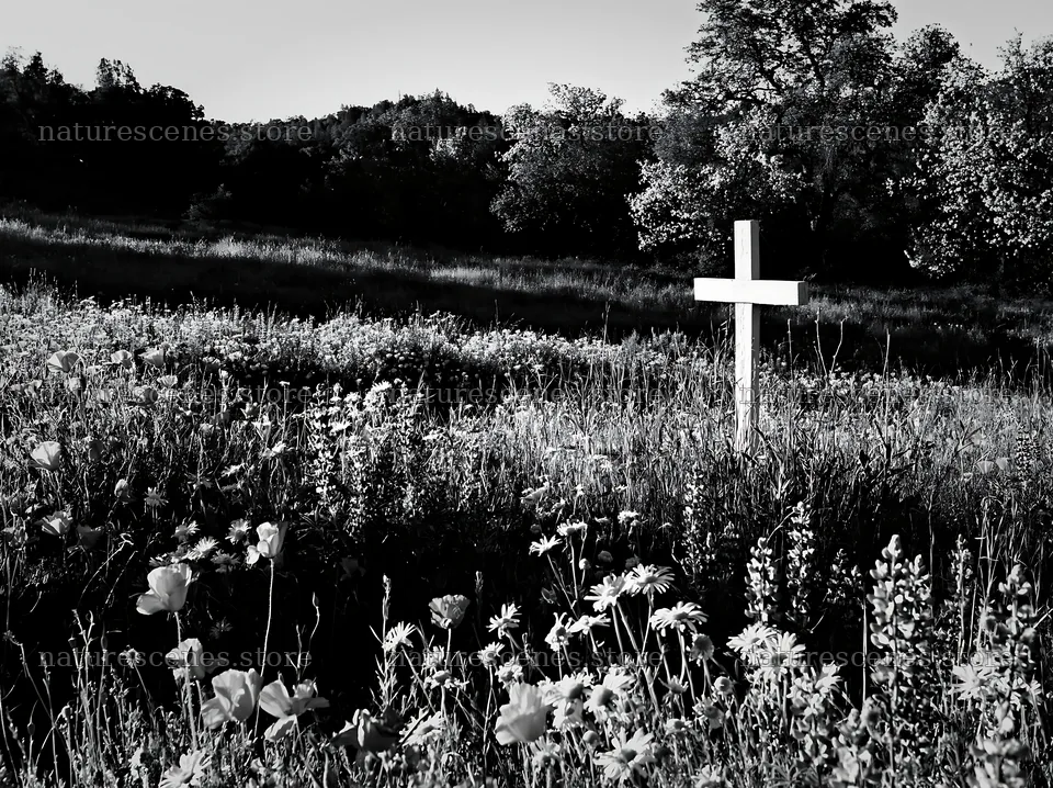 White Christian cross in Christmas meadow with flowers – nature scenes 9174x6866
