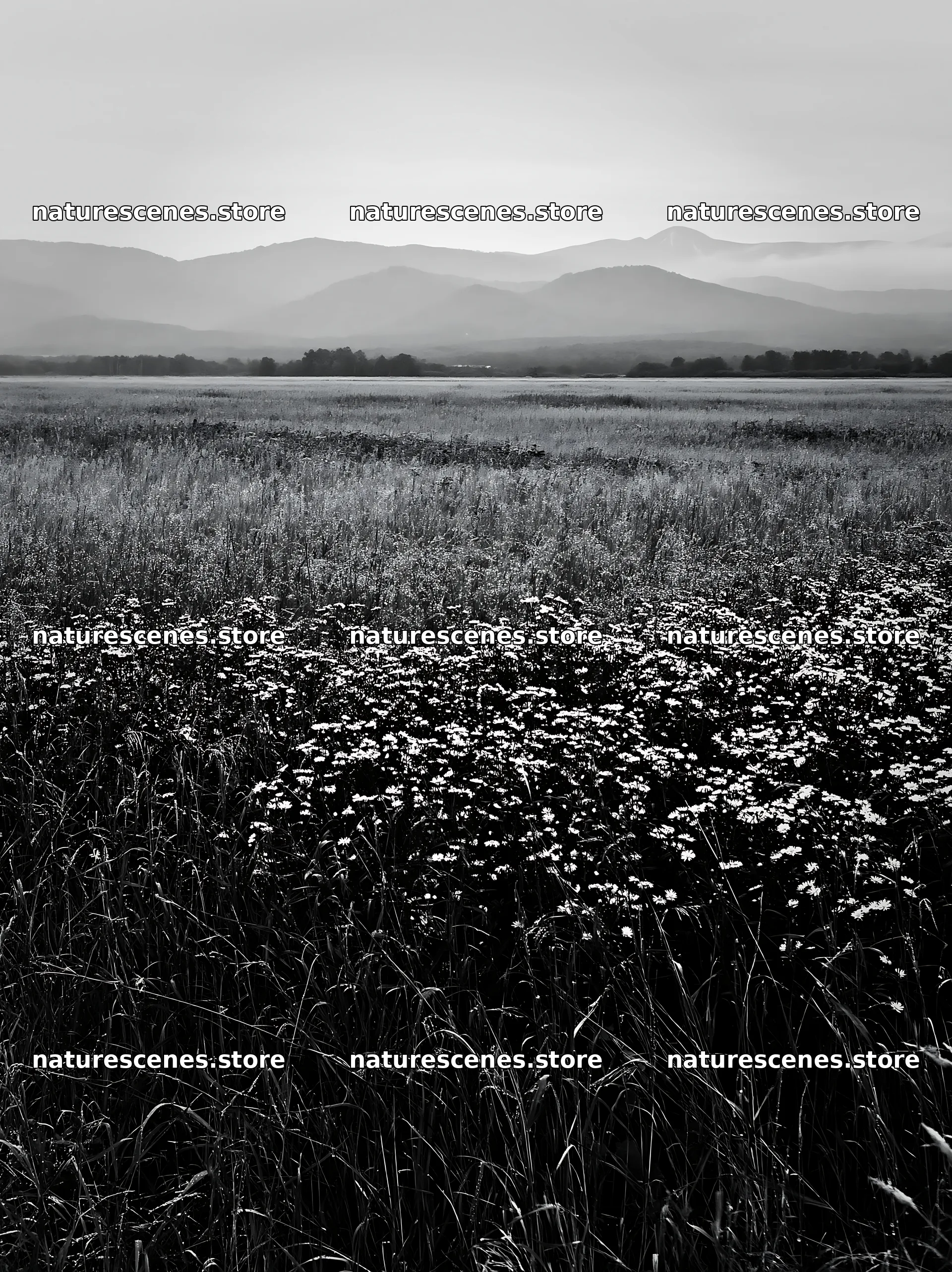 Expansive Hokkaido restoration meadow with dewdrops – nature scenes 6866x9174