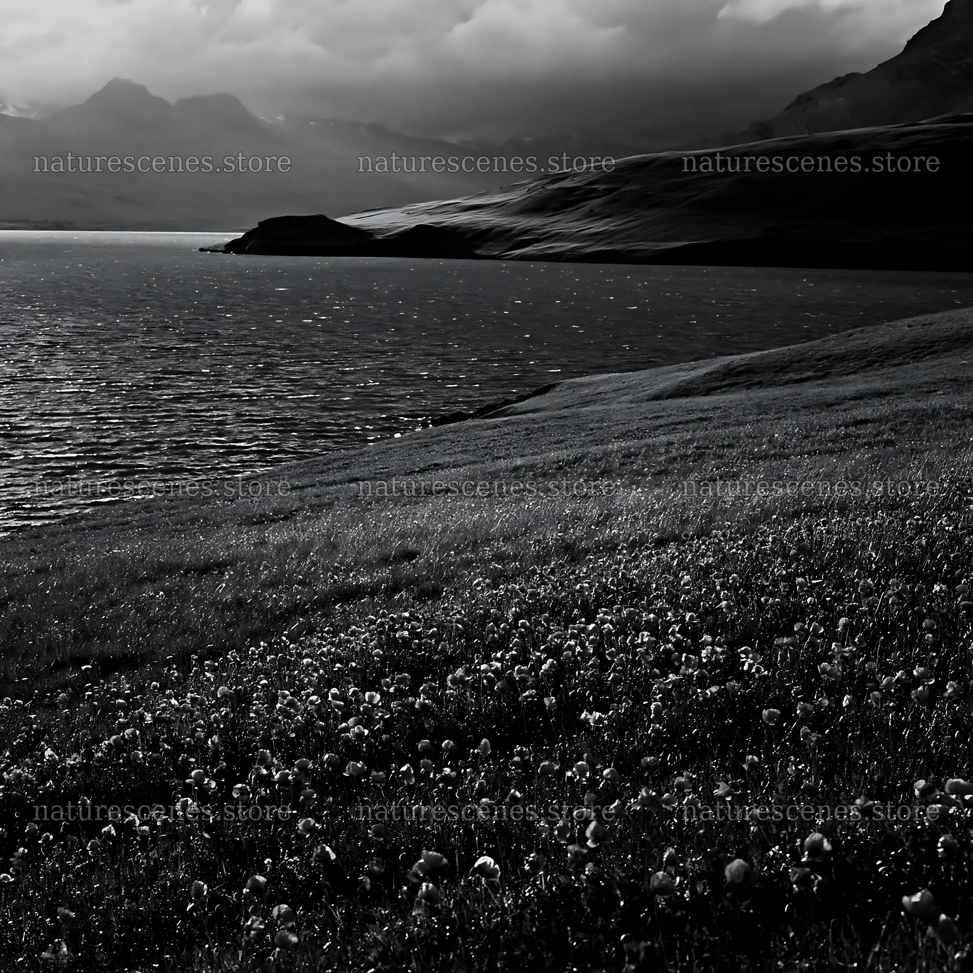 Swiss meadow beside alpine lake with red flowers – nature scenes 7938x7938