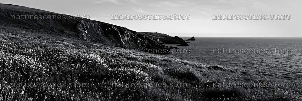 Clifftop meadow overlooking the ocean at sunset – nature scenes 13690x4602