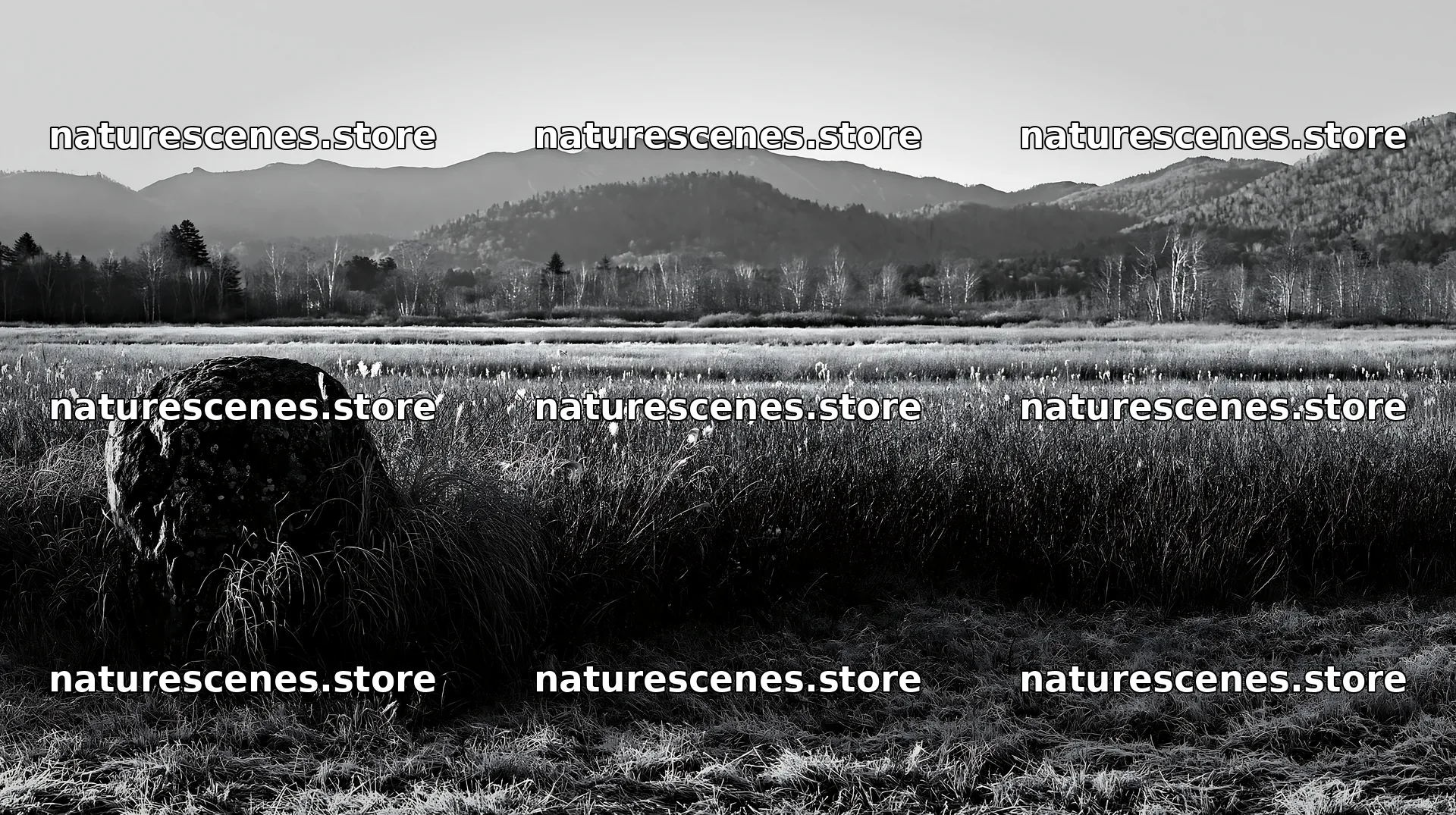 Aomori climate resilient meadow with boulder – nature scenes 10608x5938