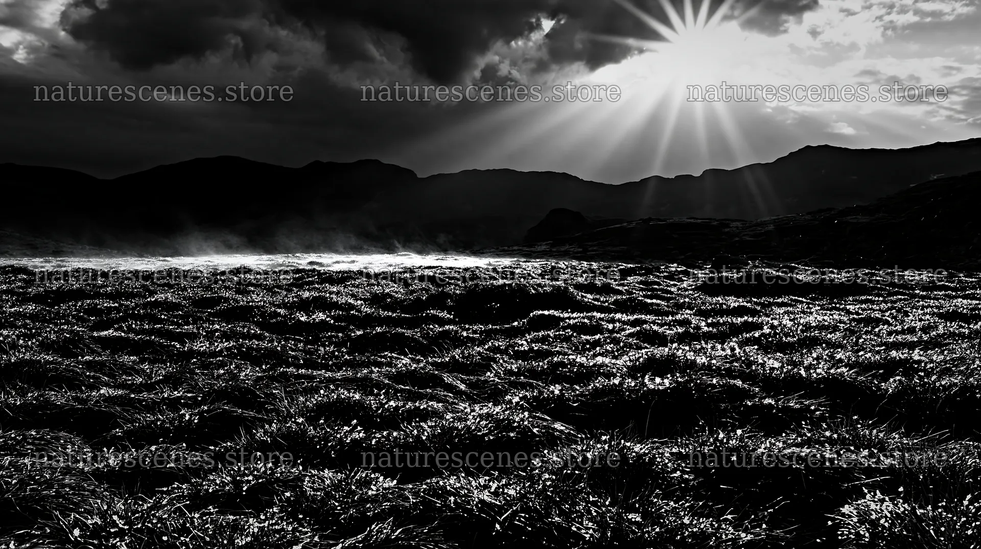 Light rays shining over Bucegi Mountains meadow – nature scenes 10608x5938