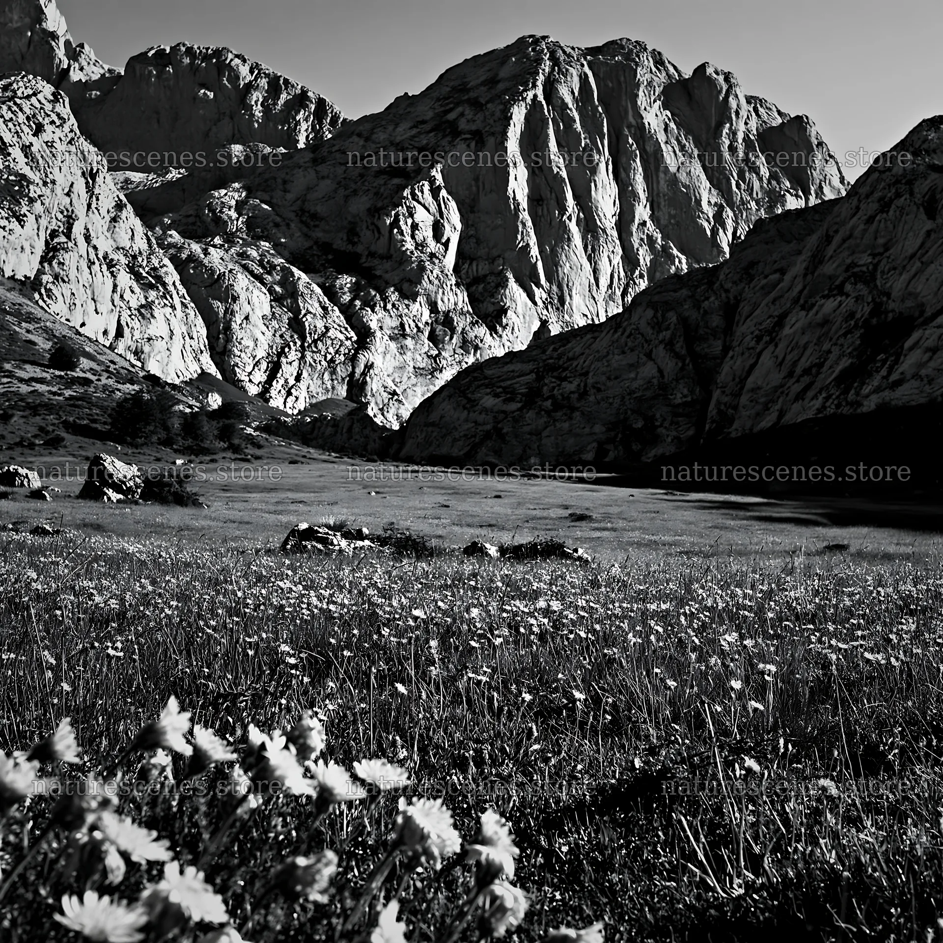 Meadow beneath crags with flowers and rocky mountains – nature scenes 7938x7938