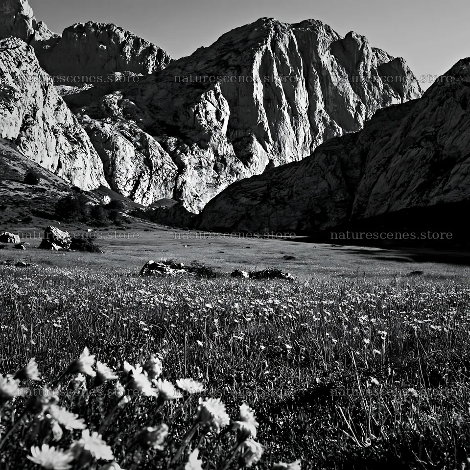 Meadow beneath crags with flowers and rocky mountains – nature scenes 7938x7938