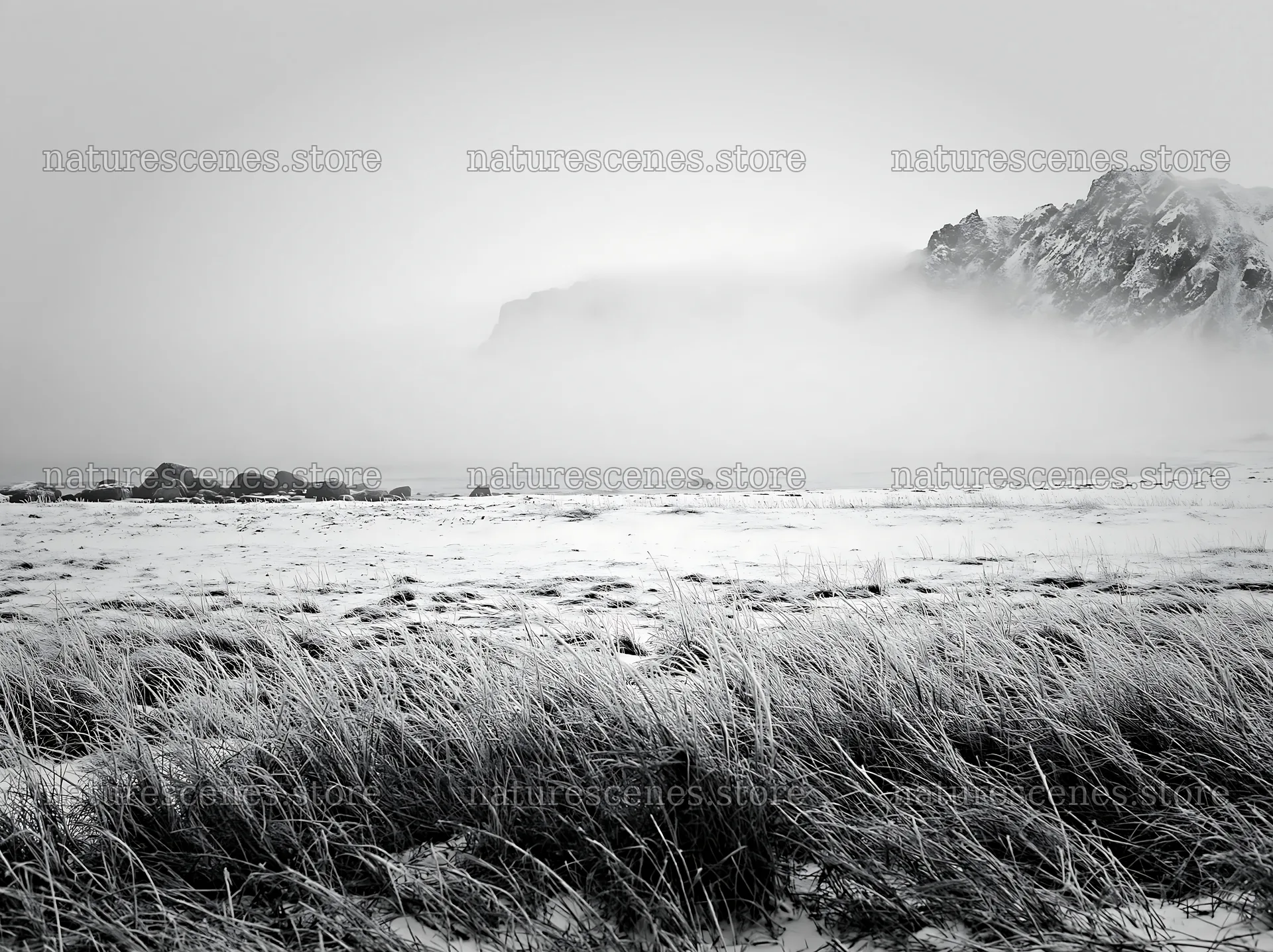 Lofoten coastal meadow covered in snow during winter – nature scenes 9174x6866