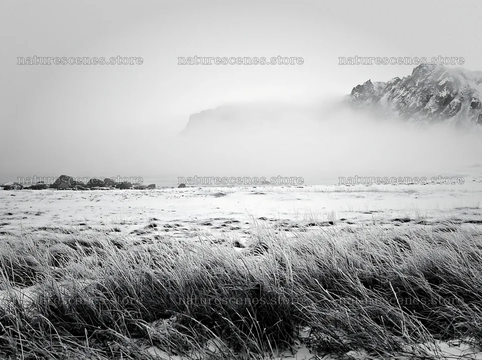 Lofoten coastal meadow covered in snow during winter – nature scenes 9174x6866