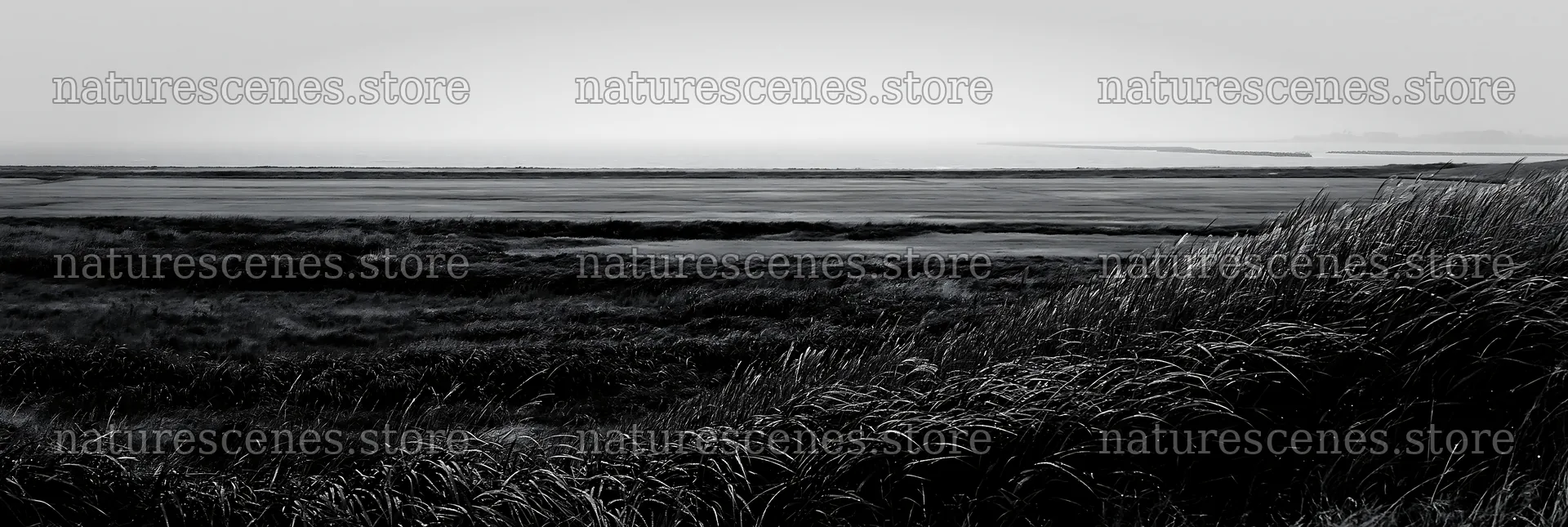 Fukui native grass meadow rain droplets can be seen on grass – nature scenes 13690x4602