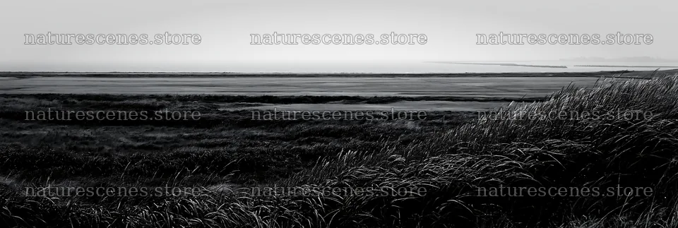 Fukui native grass meadow rain droplets can be seen on grass – nature scenes 13690x4602