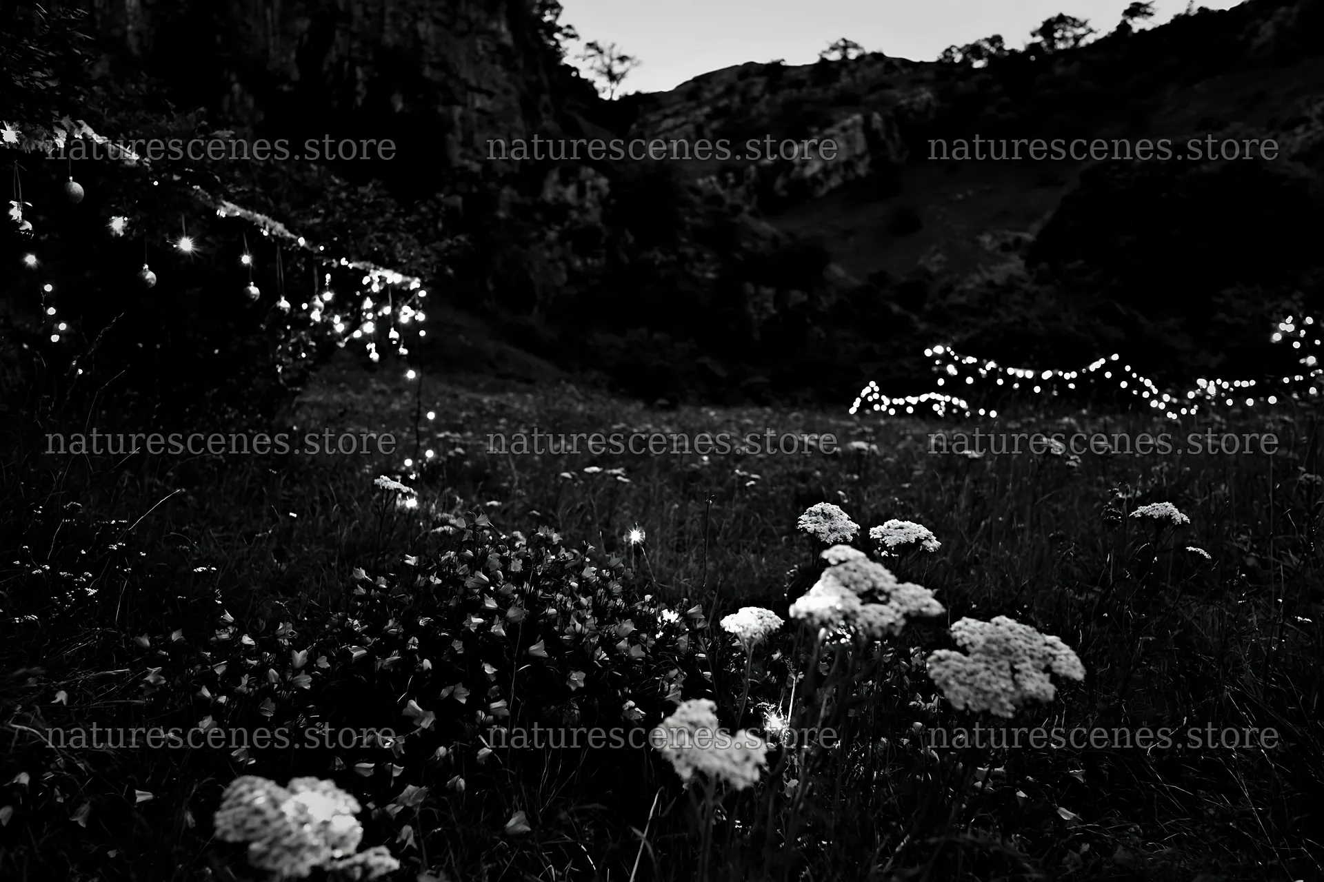 Christmas lights at dusk in meadow near cave – nature scenes 9722x6480