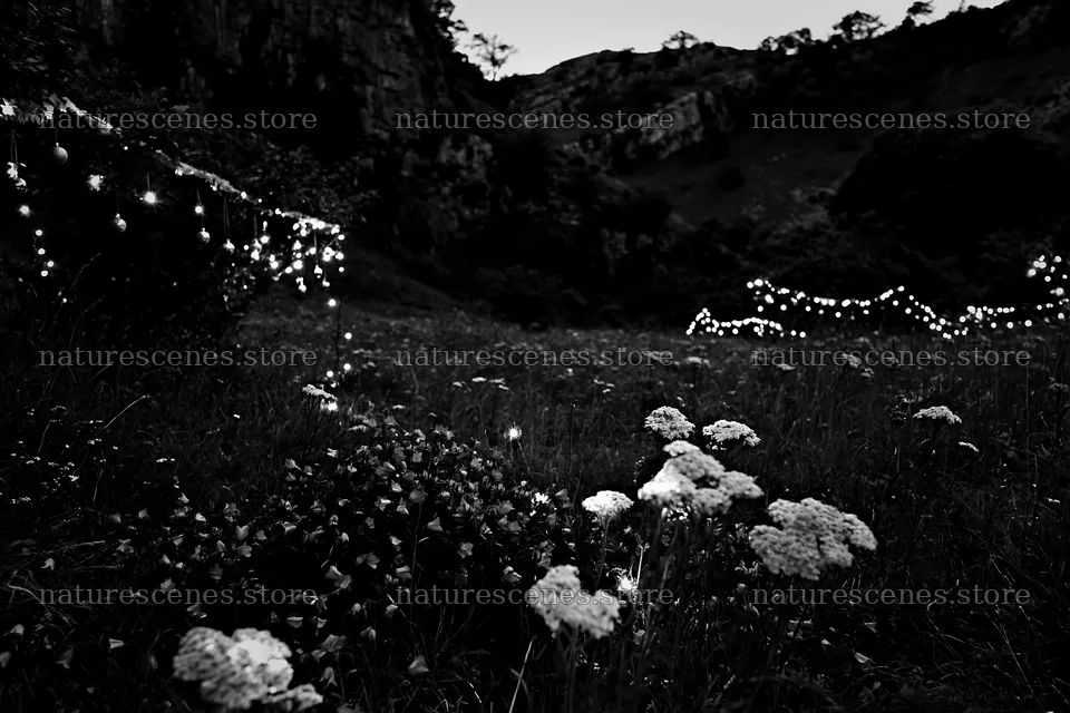 Christmas lights at dusk in meadow near cave – nature scenes 9722x6480