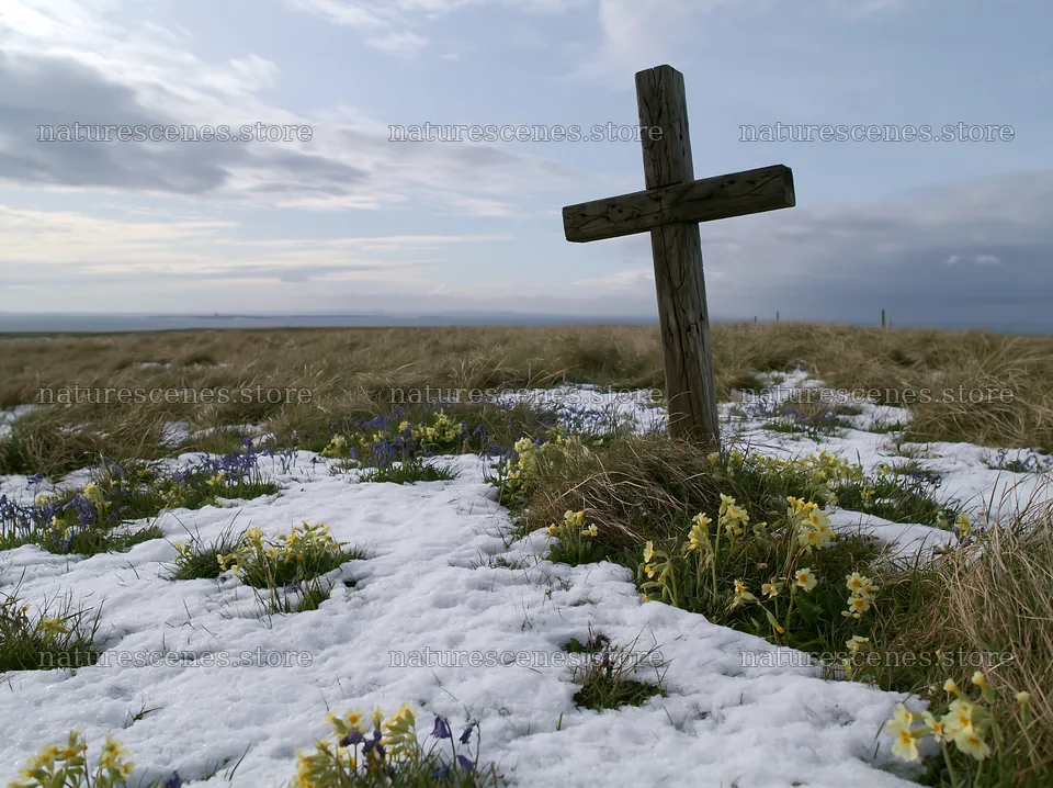 Weathered Christian cross in snowy meadow – nature scenes 9174x6866