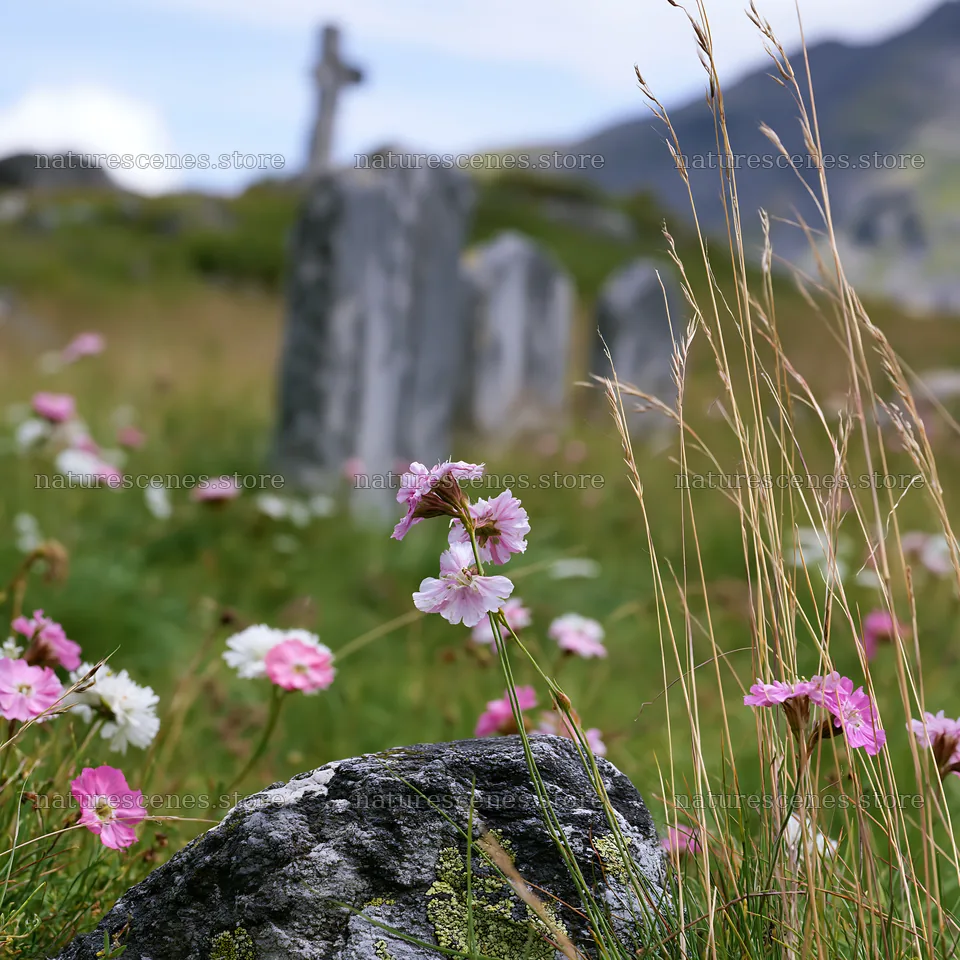 Christian cross in mountain meadow with flowers – nature scenes 7938x7938