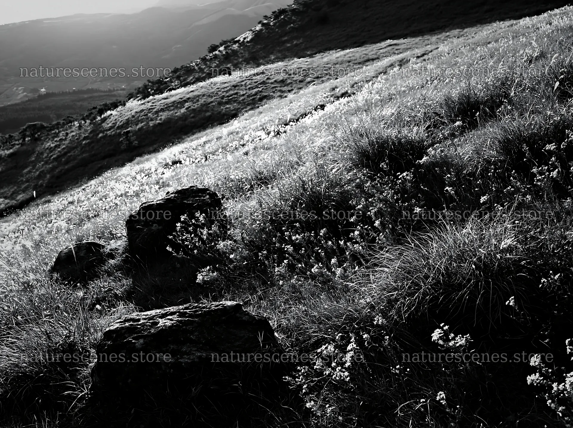 Oita highland meadow with granite stones in natural setting – nature scenes 9174x6866