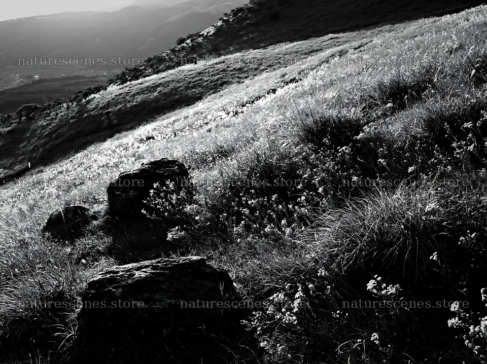 Oita highland meadow with granite stones in natural setting – nature scenes 9174x6866