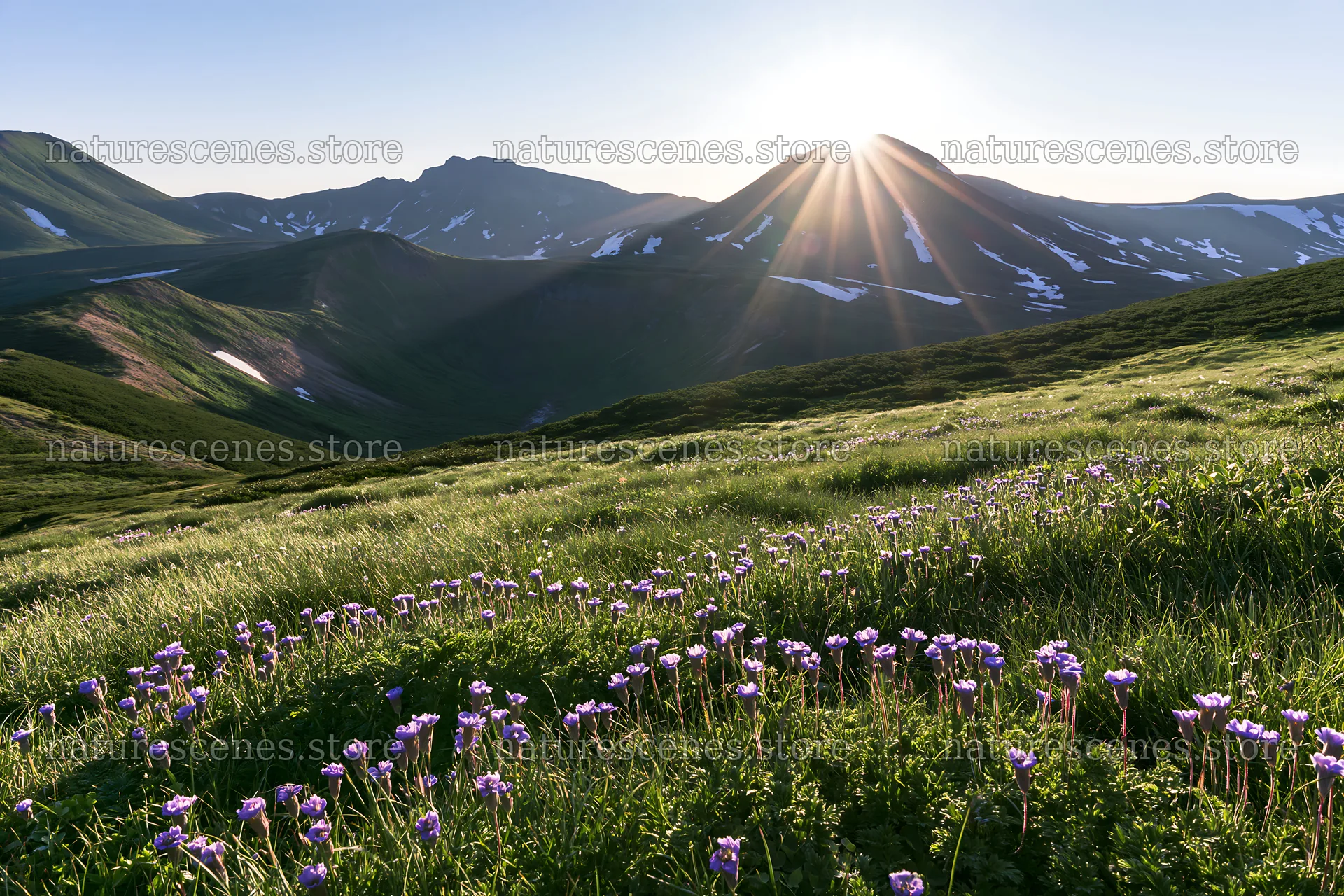 Light rays illuminate Daisetsuzan alpine meadow in summer – nature scenes 9722x6480