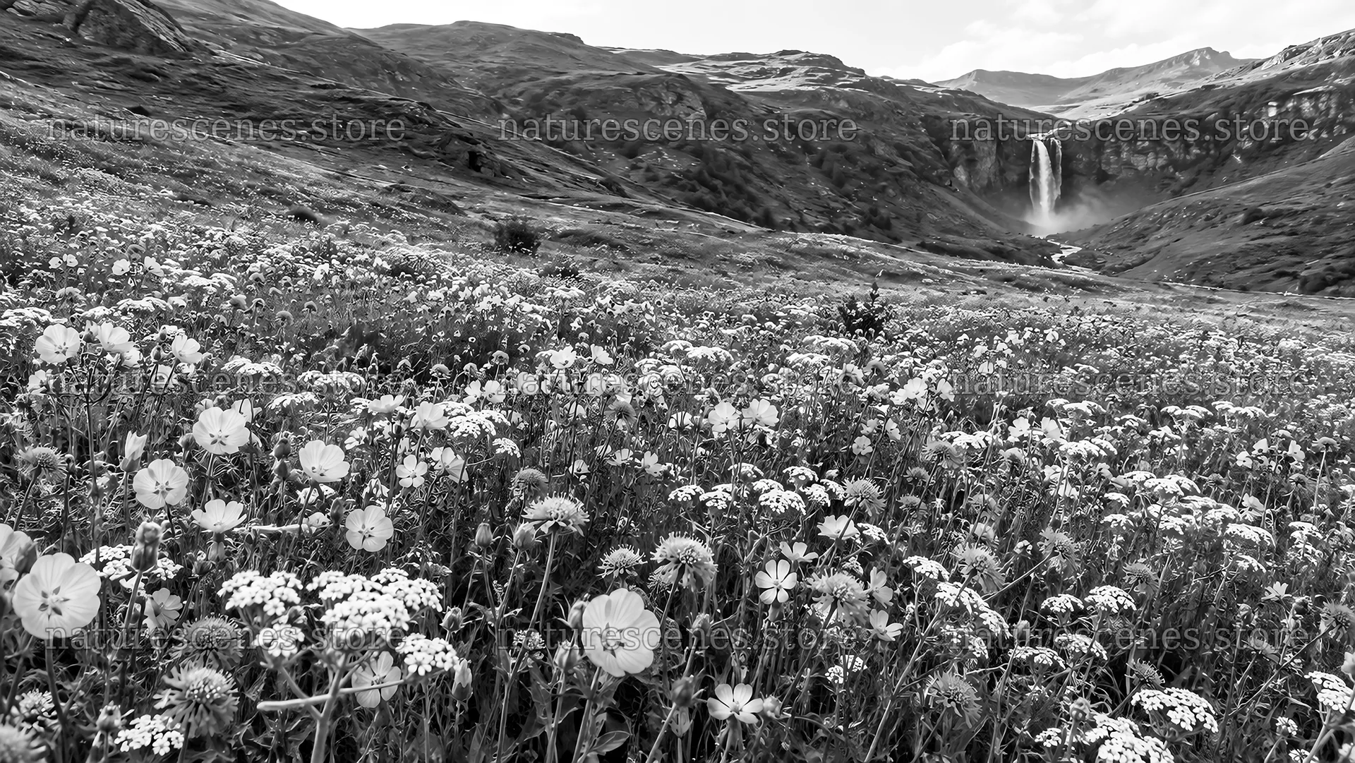 Monochrome Wildflower Meadow and Waterfall – nature scenes 10324x5812