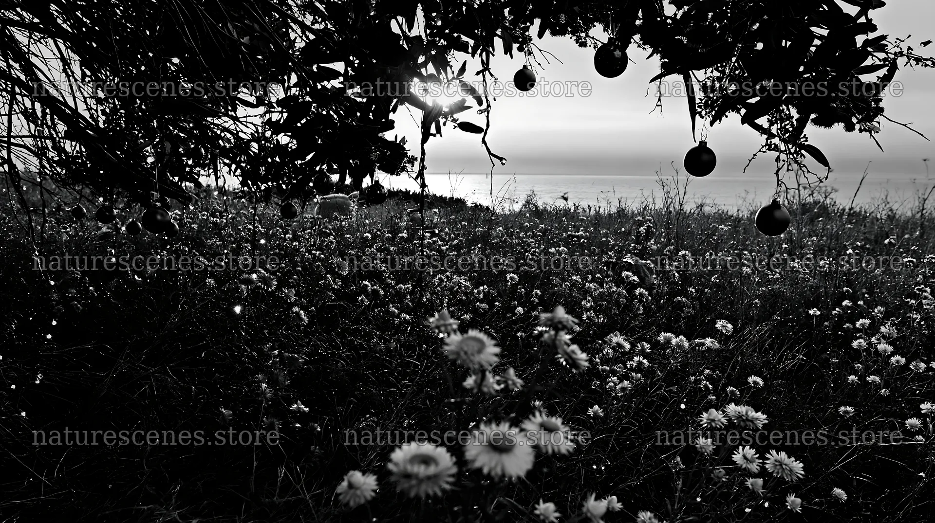 Wide Christmas meadow with native flowers and fairy lights – nature scenes 10608x5938