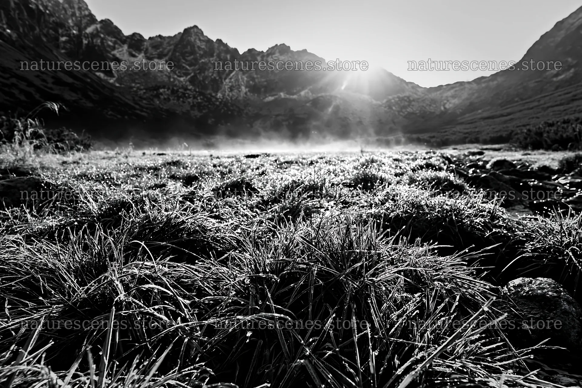 Meadow and valley at dawn with mist and sunlight – nature scenes 9722x6480