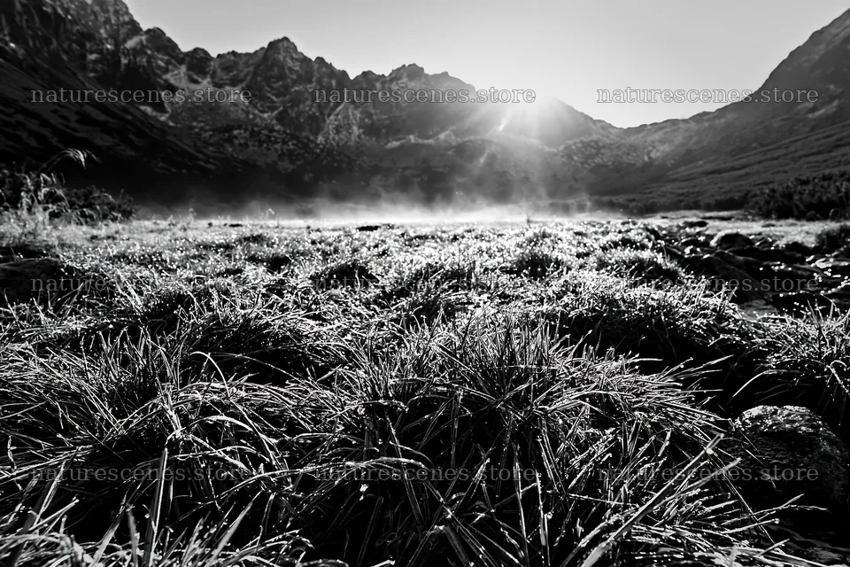 Meadow and valley at dawn with mist and sunlight – nature scenes 9722x6480