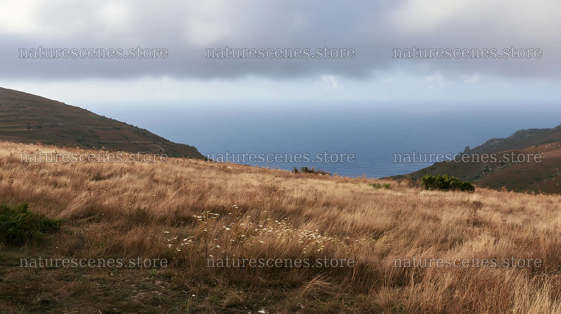 Meadow view over Atlantic coast in Portugal – nature scenes 10608x5938