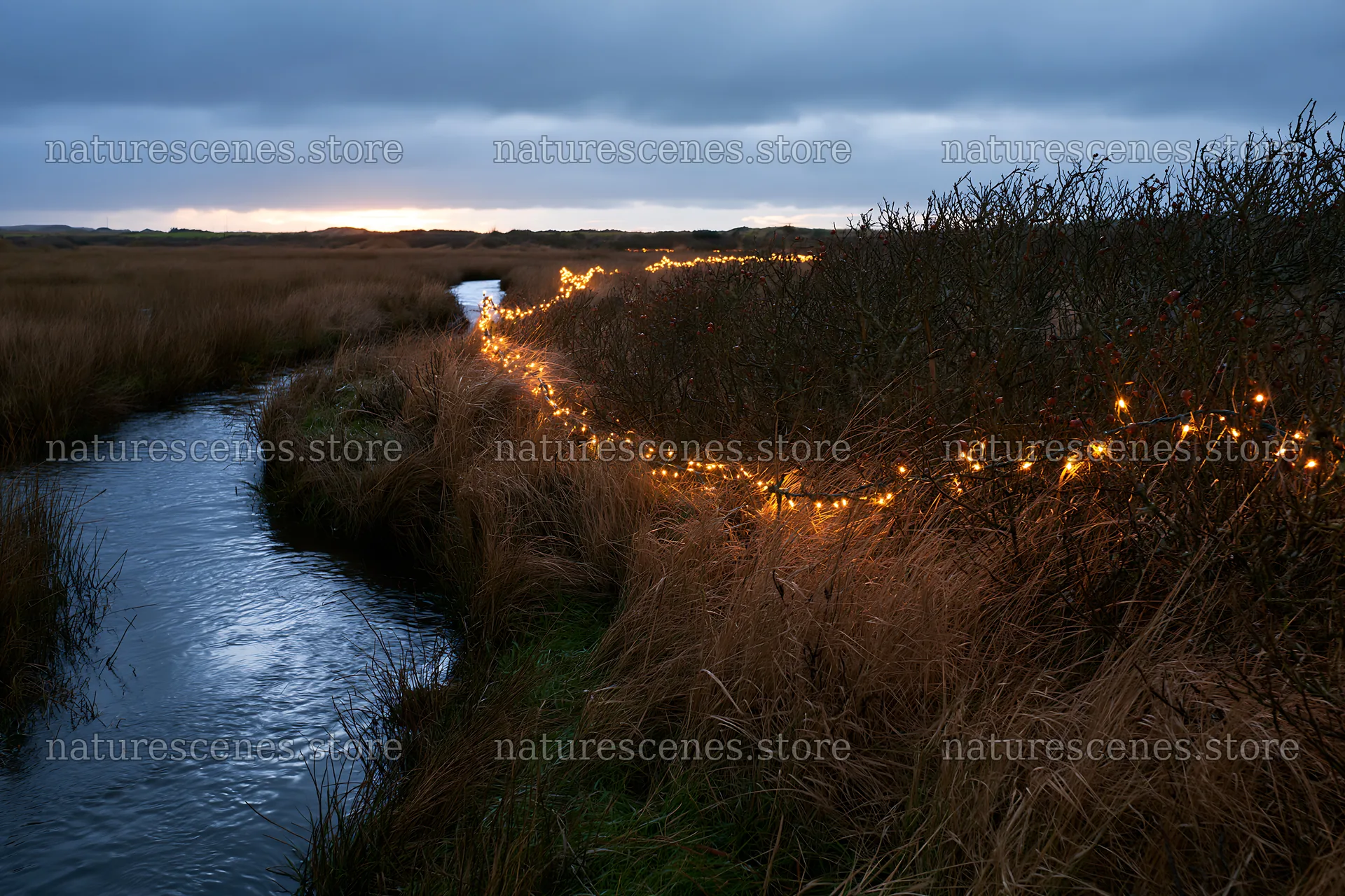 Christmas lights along a meadow stream at dusk – nature scenes 9722x6480