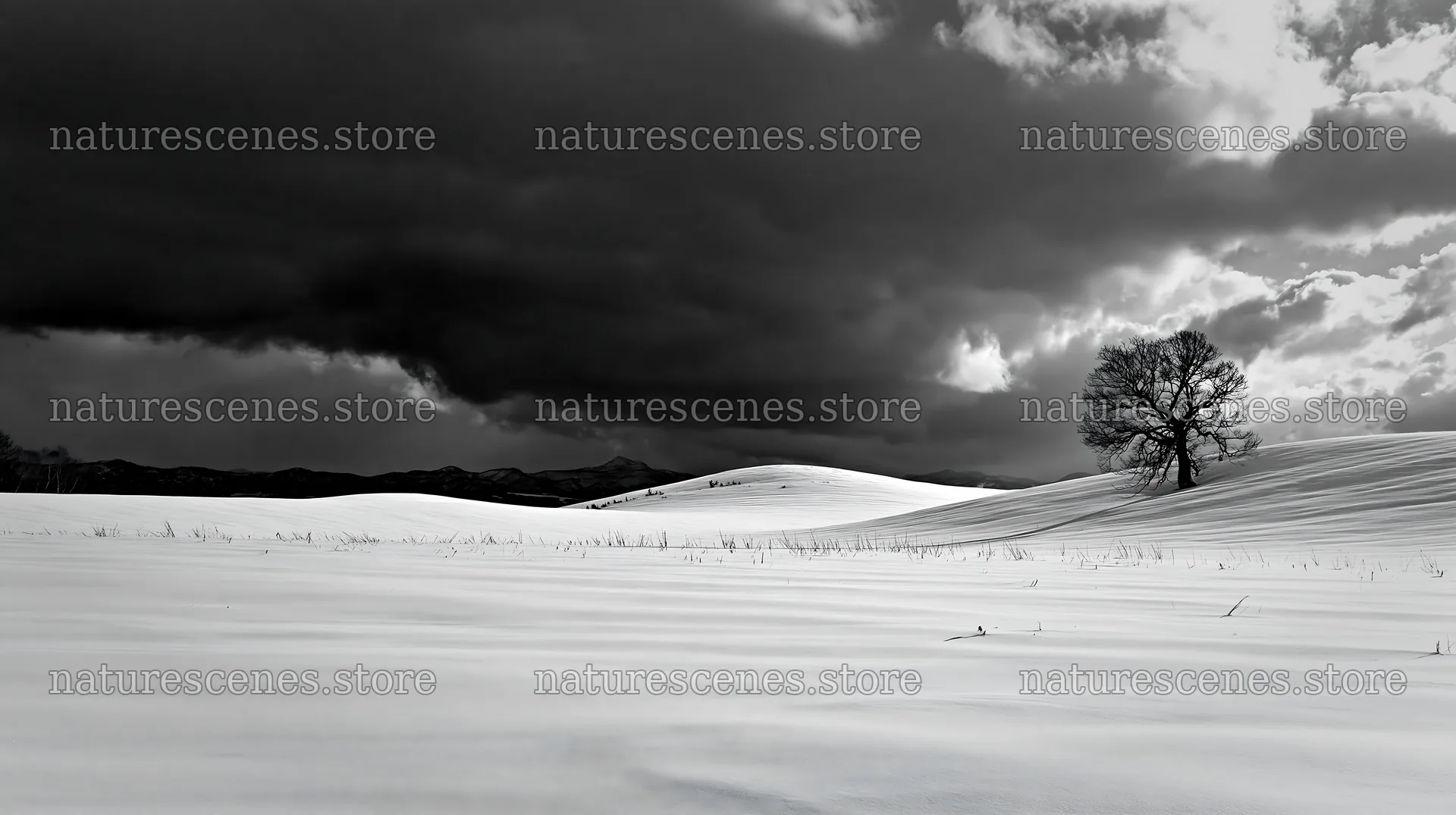 Snow covered hills and meadows in Biei, Japan – nature scenes 10608x5938