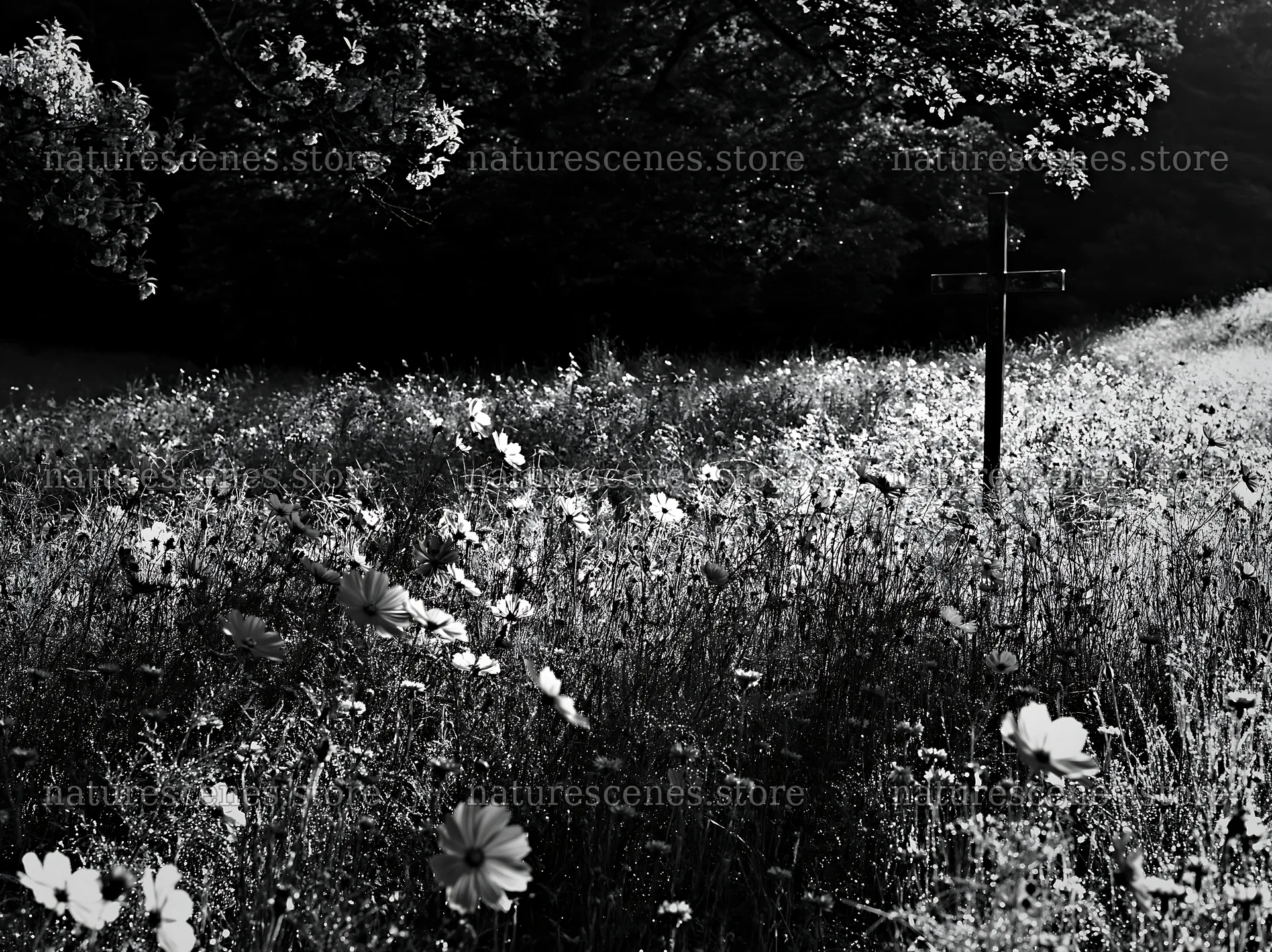 Christian cross in a meadow at dawn – nature scenes 9174x6866