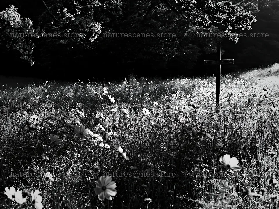 Christian cross in a meadow at dawn – nature scenes 9174x6866