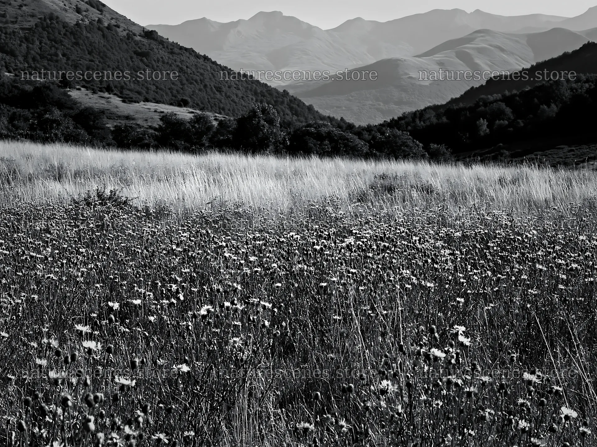 French meadow below Pyrenees range with wildflowers and hills – nature scenes 9174x6866