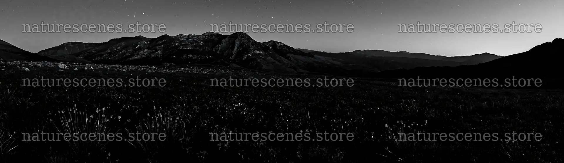 Starlit meadow with mountains under night sky – nature scenes 14762x4268