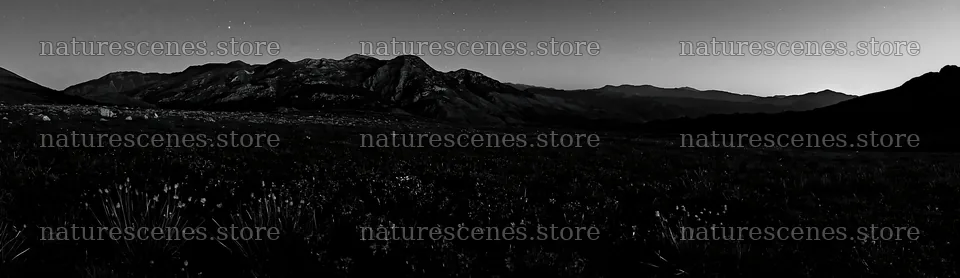 Starlit meadow with mountains under night sky – nature scenes 14762x4268