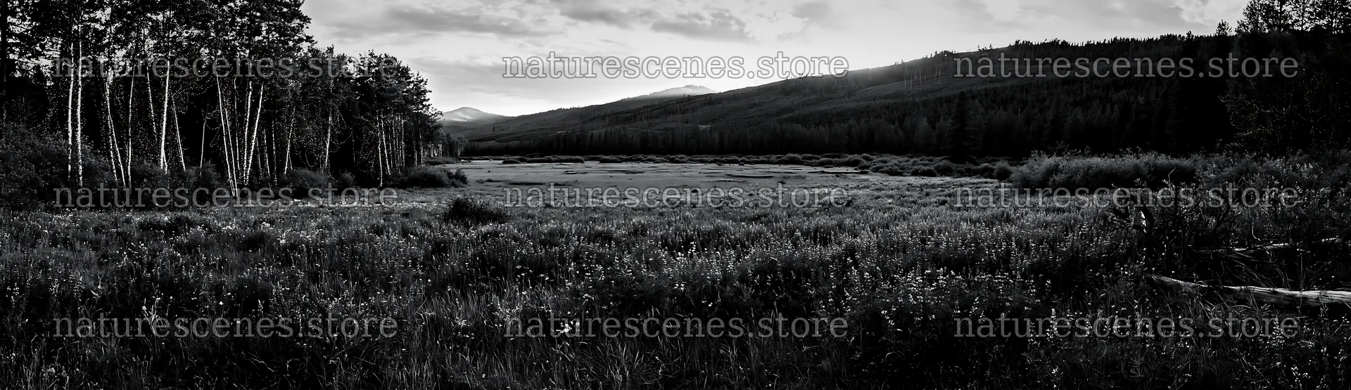 Expansive Christmas meadow rewilding with lights and driftwood – nature scenes 14762x4268