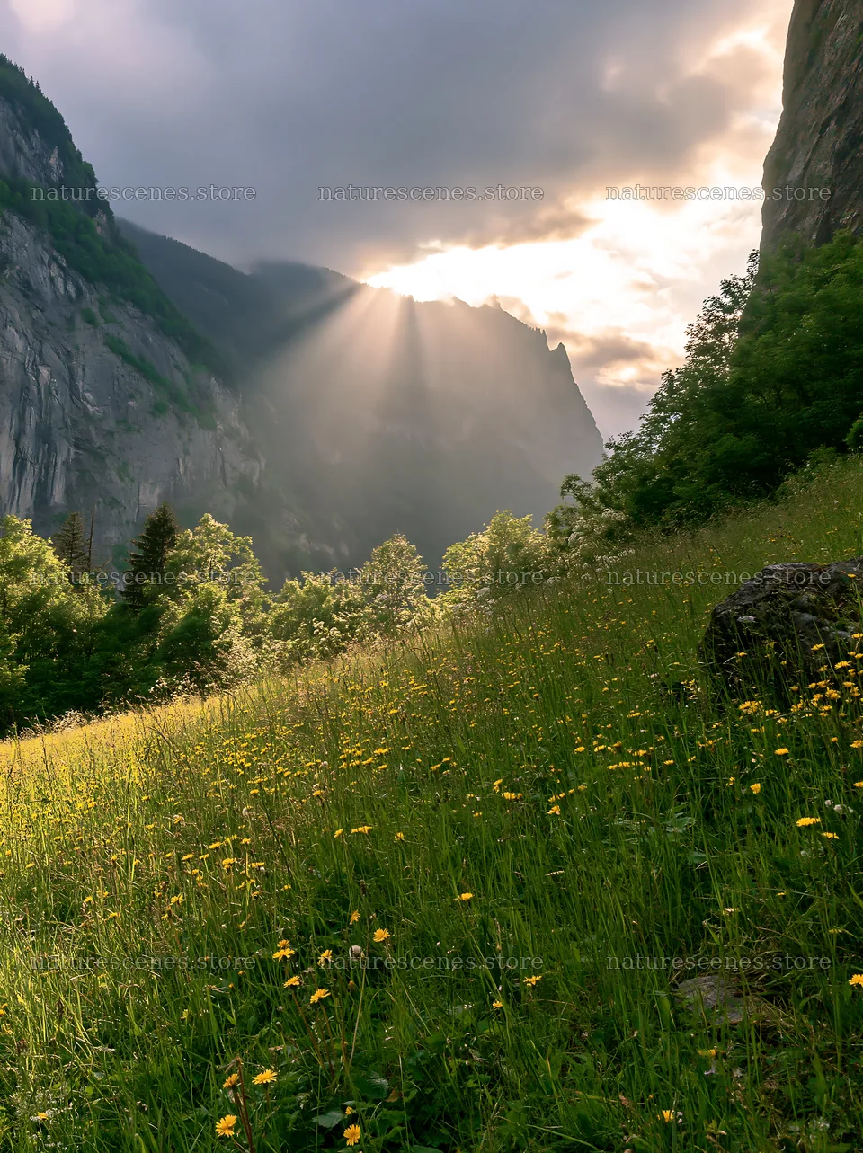 Lauterbrunnen Valley meadow light rays create a stunning view – nature scenes 6866x9174