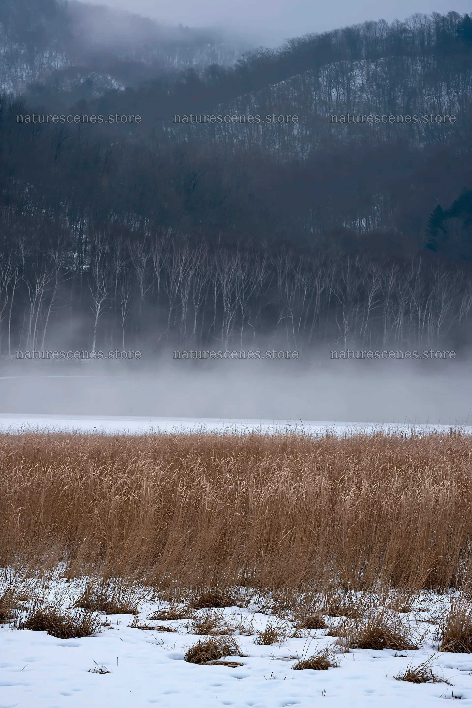 Snowy lakeside meadow with mist and mountains in the background – nature scenes 6480x9722