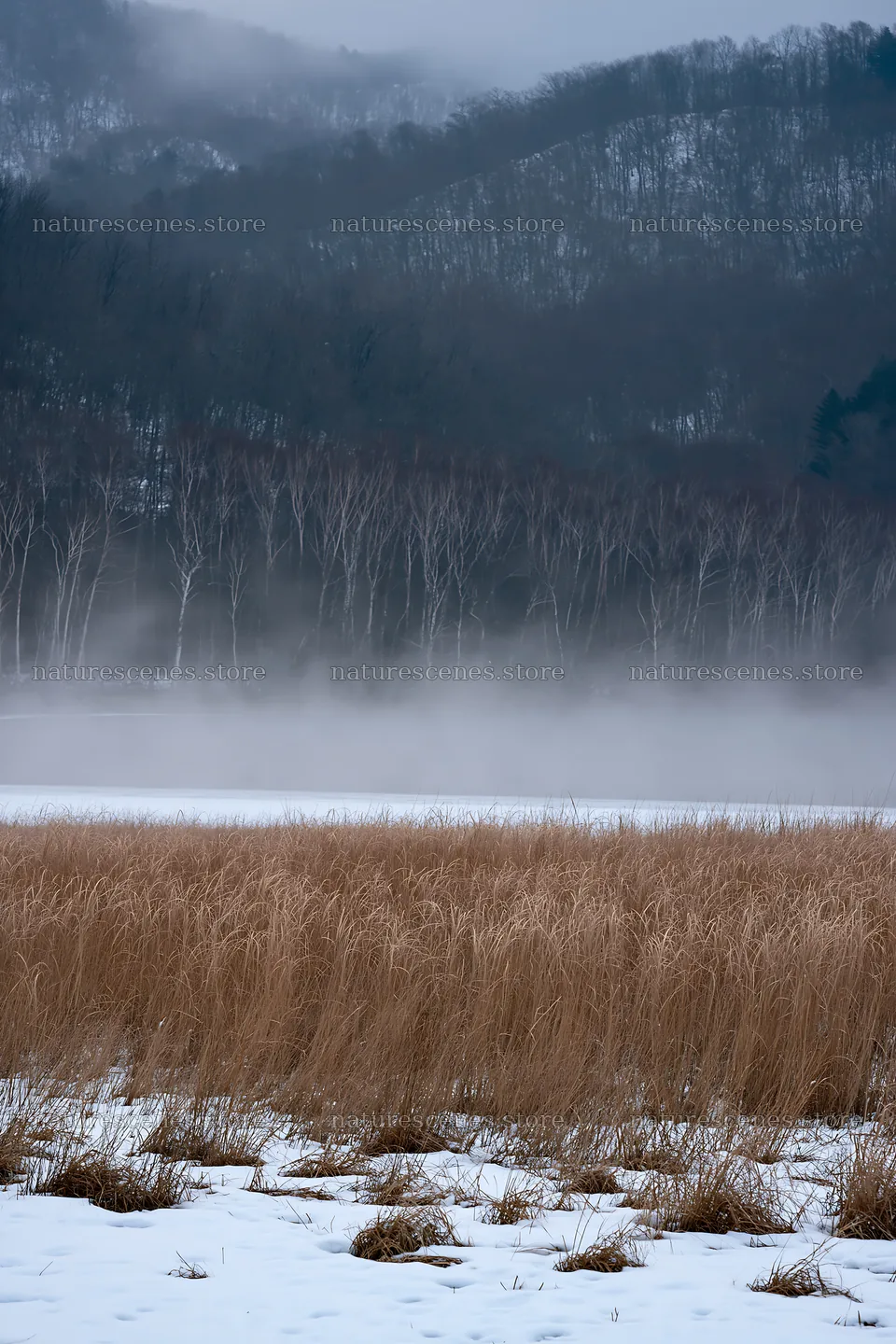 Snowy lakeside meadow with mist and mountains in the background – nature scenes 6480x9722