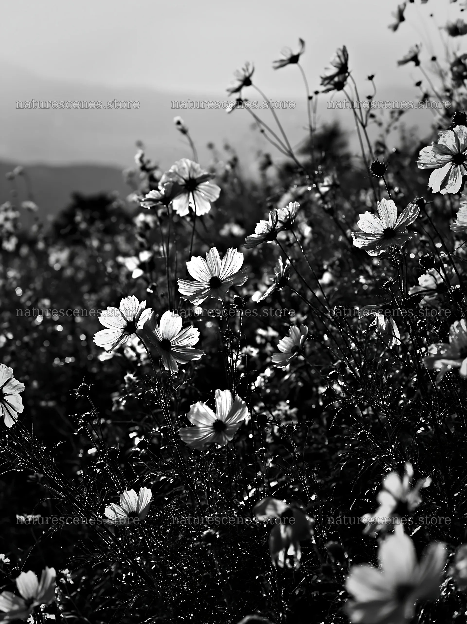 Shizuoka seasonal meadow after heavy rain with blooming flowers – nature scenes 6866x9174