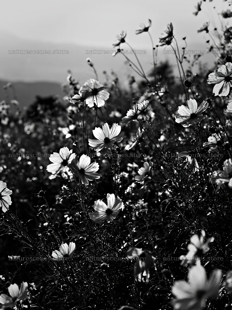 Shizuoka seasonal meadow after heavy rain with blooming flowers – nature scenes 6866x9174