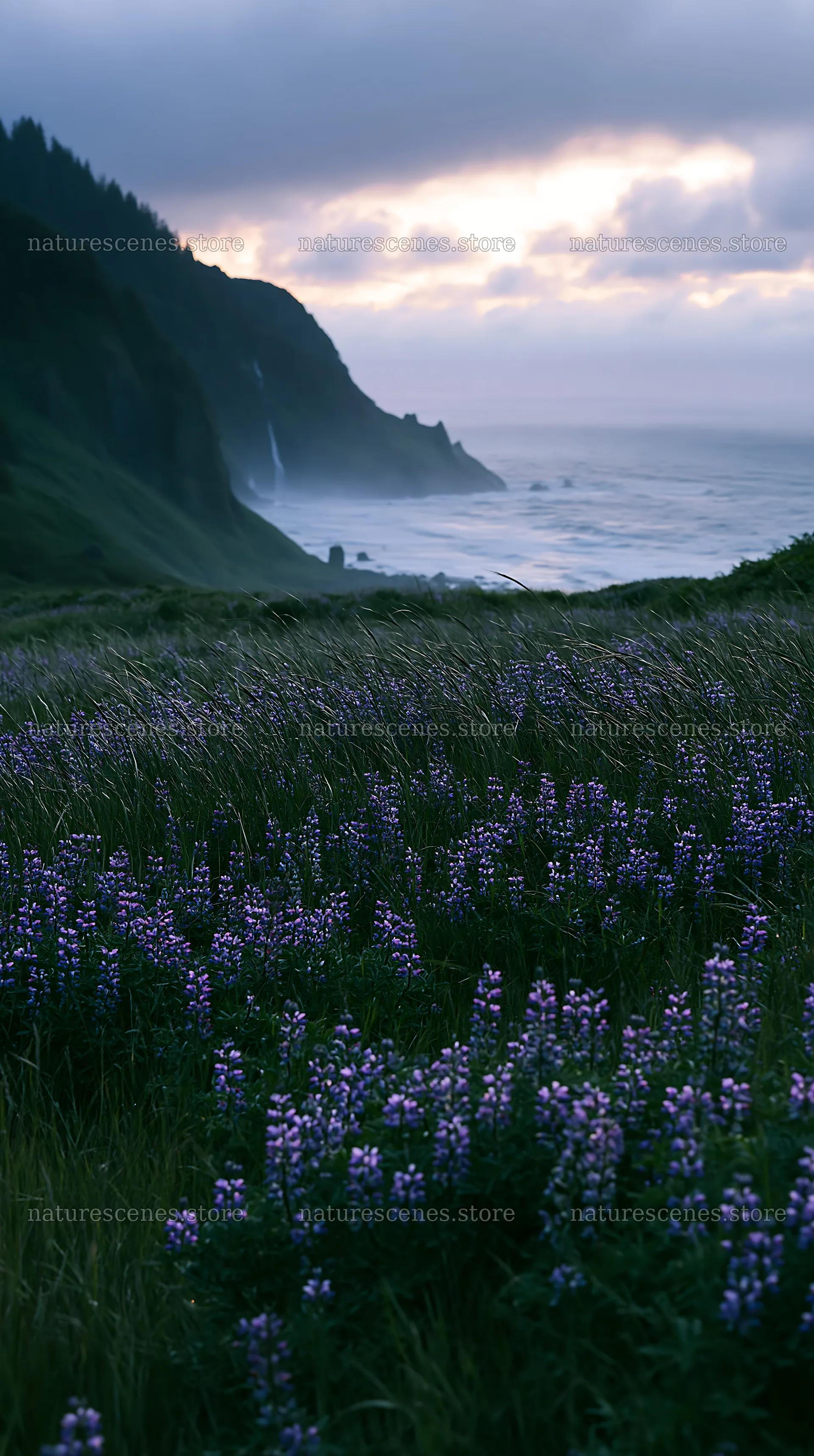 Flower meadow overlooking distant cascade and ocean – nature scenes 5938x10608